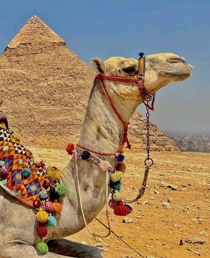 tour-listing-details-slide